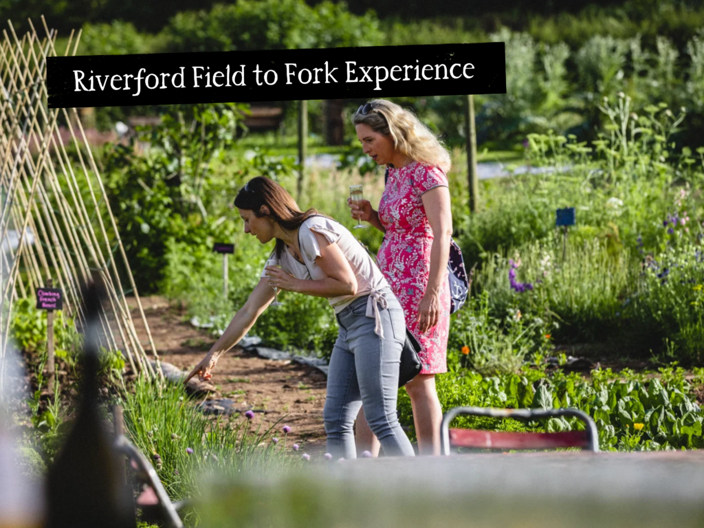Riverford Field to Fork Experience *multiple dates Riverford Field