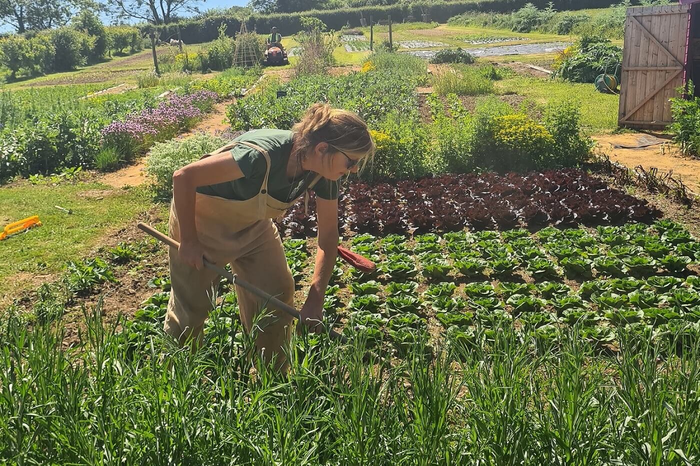 Events Riverford Field Kitchen