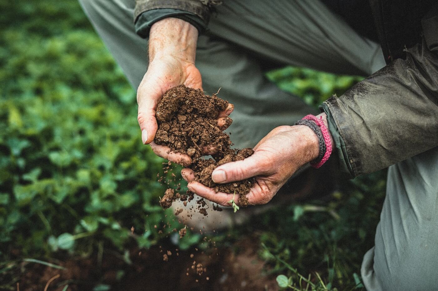 Events Riverford Field Kitchen