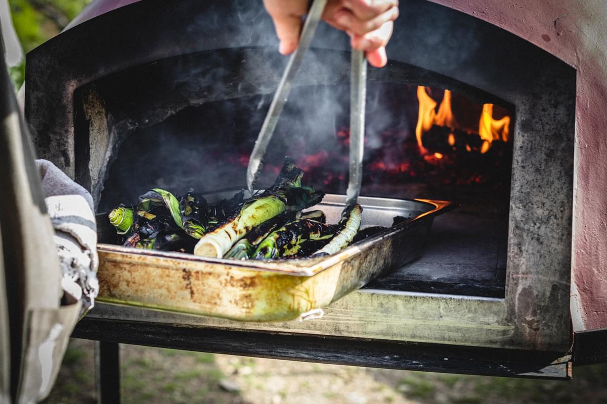 Polytunnel Medium1 Riverford Field Kitchen